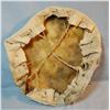 Image 2 : Deerhide round shield, 15" diameter