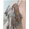 Image 2 : Sturm photo, Plenty Coup, Chief of the Crow, 1848-1932