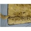Image 5 : Wolf  hide rug, made from 4 wolf hides sewed together, 72" x 61", fully lined, lining with scalloped