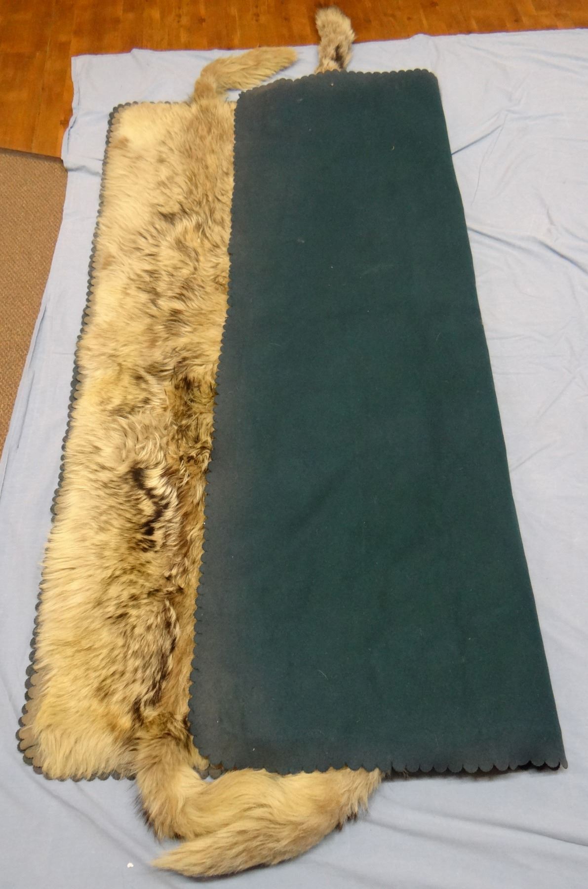 Wolf hide rug, made from 4 wolf hides sewed together, 72