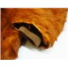 Image 4 : Bear hide coat, fully lined, 62" total length, very old and in very good condition