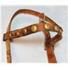 Image 4 : Al Furstnow dble. marked headstall, studded