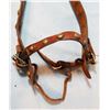 Image 5 : Al Furstnow dble. marked headstall, studded