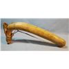 Image 4 : Antler handled 14" hide scraper w/iron blade
