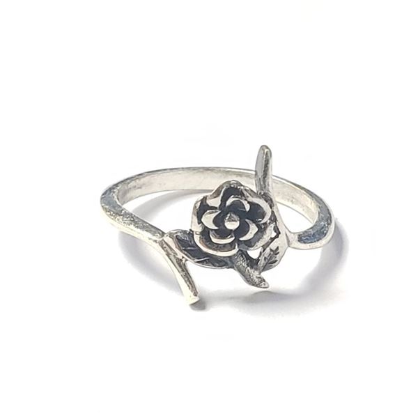 Silver Ring (~Size 6.5), Suggested Retail Value $160