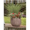 Image 2 : XL Outdoor Planter