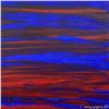 Image 2 : Untitled by Wyland Original