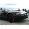 Image 45 : 0U --  2001 FORD MUSTANG GT FORD BULLITT, Green, 269341 KM "NO RESERVE"