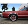 Image 38 : 0ZN --  1978 FORD THUNDERBIRD, Red, 73,280 MILES TMU