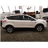 Image 14 : E4 --  2013 FORD ESCAPE SE AWD, White, 177578 KM