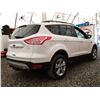 Image 18 : E4 --  2013 FORD ESCAPE SE AWD, White, 177578 KM