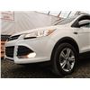Image 42 : E4 --  2013 FORD ESCAPE SE AWD, White, 177578 KM