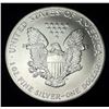 Image 2 : 1991 American Silver Eagle