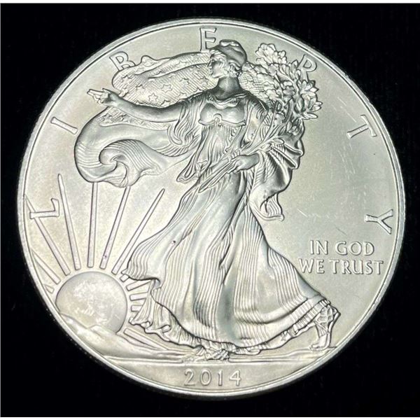 2014 American Silver Eagle