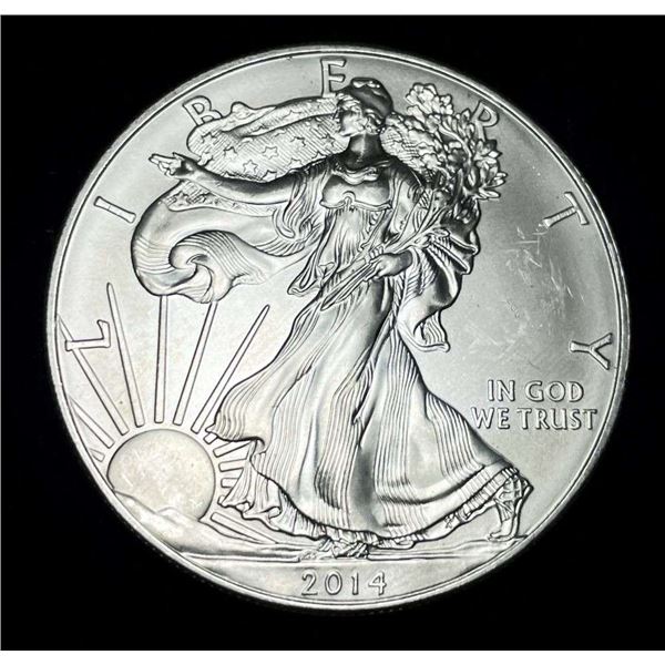 2014 American Silver Eagle