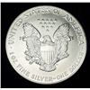 Image 2 : 1991 American Silver Eagle