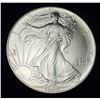 Image 1 : 1992 American Silver Eagle