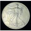 Image 1 : 1996 American Silver Eagle