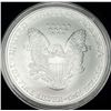 Image 2 : 2007 American Silver Eagle