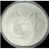 Image 2 : 2009 American Silver Eagle