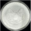 Image 2 : 2005 American Silver Eagle