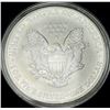 Image 2 : 2006 American Silver Eagle