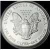 Image 2 : 1989 American Silver Eagle