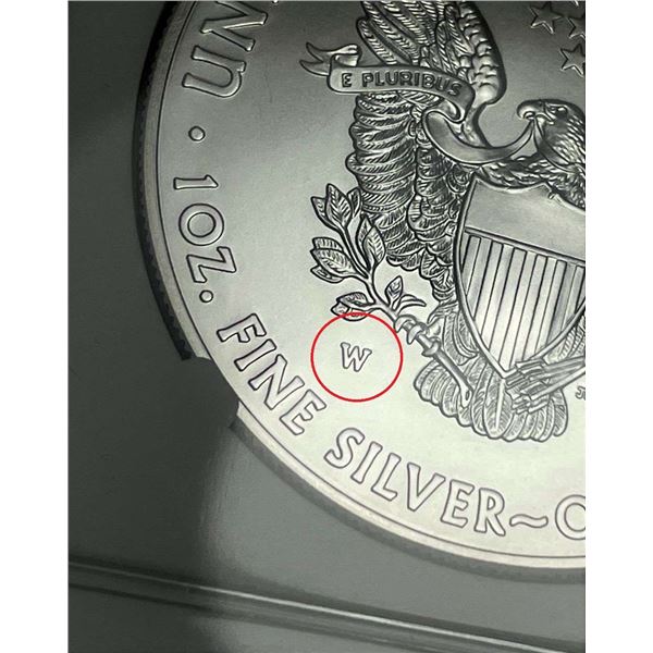 2014-W Burnished American Silver Eagle NGC MS70