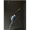 Image 1 : Blue Jay Stained Glass Art