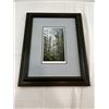 Image 1 : Old Sentinel Framed Print