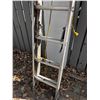 Image 2 : Extension Ladder