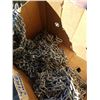 Image 2 : LOT OF EXTENTION CORDS, JERRY CAN AND TIRE CHAINS