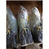 Image 2 : 4 NEW FALCON BIRD REPELLANT STATUES