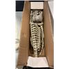 Image 3 : 6 SPOOKY ANIMAL SKELETONS - SLOTH