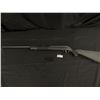 Image 2 : Savage Model 64 22LR  Semi Auto. Front and Rear Iron Sites and Clip