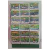 Looney Tunes Cards (A2994)