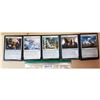 Image 1 : Magic Cards (A0470)