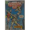 Image 2 : Karate Kid X2 & V Comics (A1222)