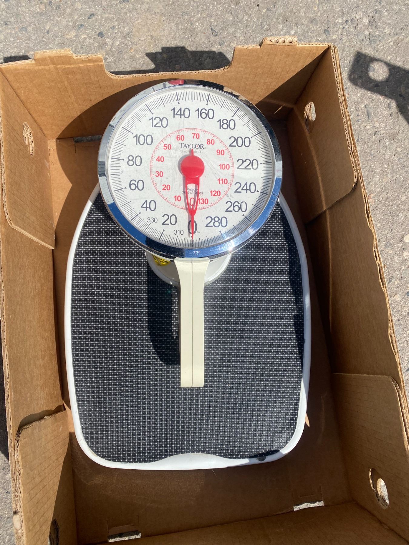 Taylor professional scale