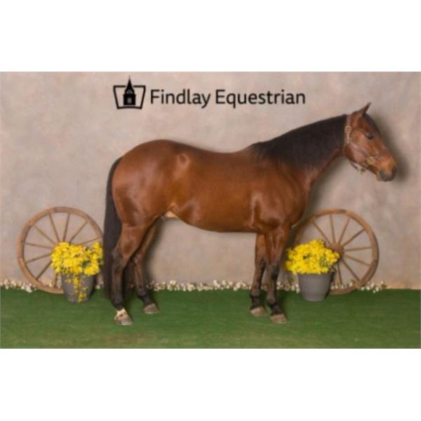 Smartest Mobster Yet