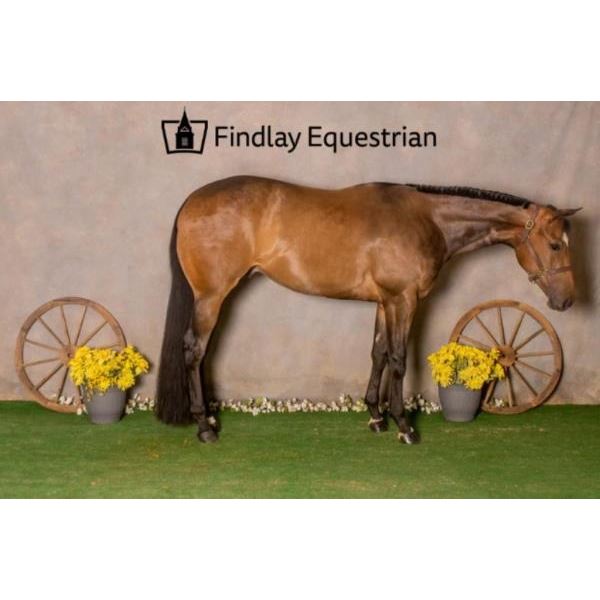 The Ultimate Addiction