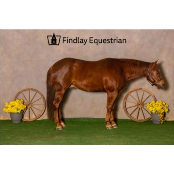 Monday Morning Trash