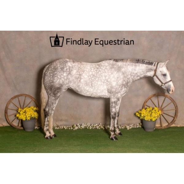 Onlylilliesimpressme