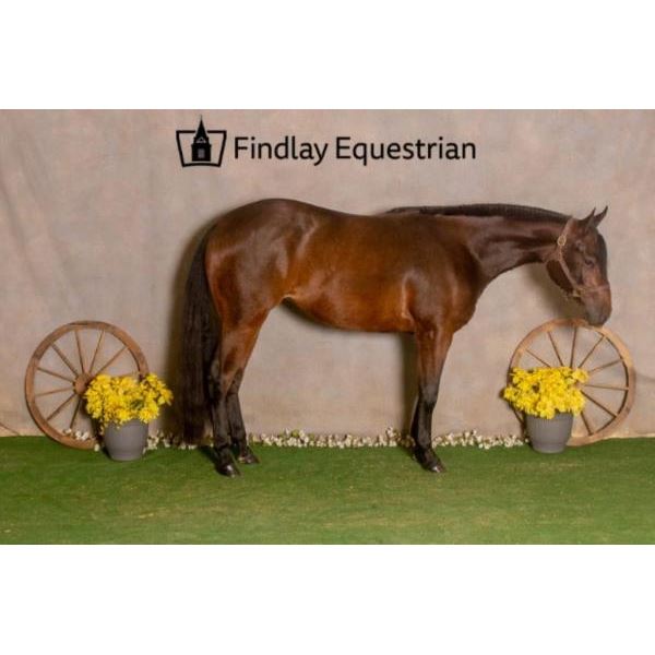 Scratch - Just Like A Girl