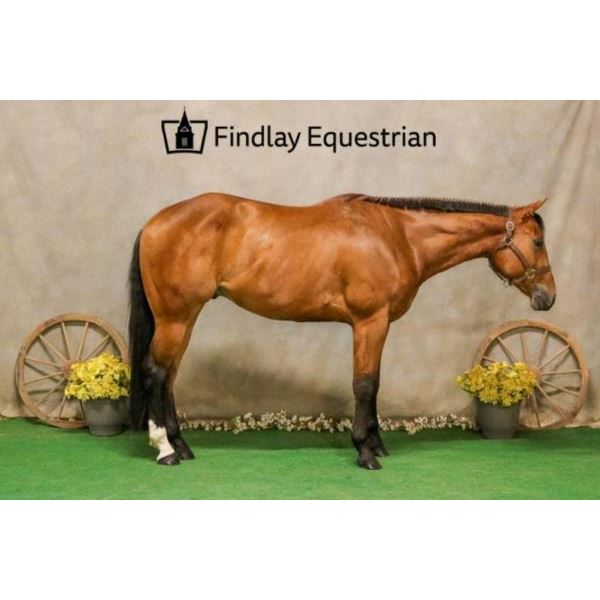 Scratch - Bcertainboutme