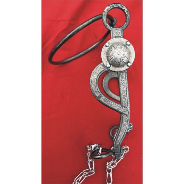 Eduardo Grijalva silver inlaid ring bit