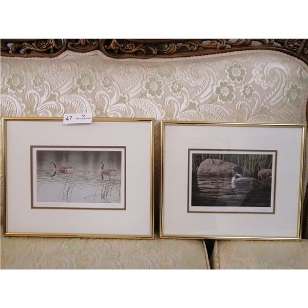 2 x Framed Prints By Dawn Li-Leger - "Loon with Chick" & "Canada Geese with Young"