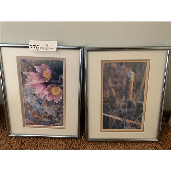 2 x Framed Nature Prints