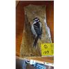 Image 2 : PAINTED STONE "THE DOWNIE WOODPECKER" ON KOOTENAY STONE BY PATRICIA BROWN & A BIRD FIGURINE OF THE R