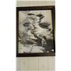 Image 3 : 5 PICTURES & PRINTS